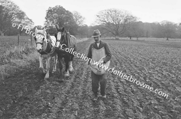 SOWING EARLY WHEAT